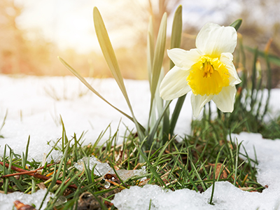 Páskarnir í Vínbúðunum