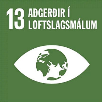 13 Aðgerðir í loftlagsmálum.