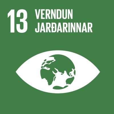 Verndun jarðarinnar