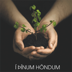 Í þínum höndum - birki