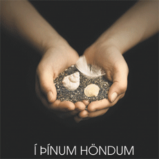 Í þínum höndum - fjara