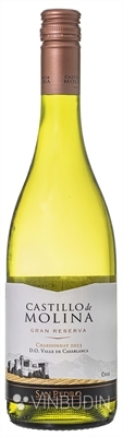 Castillo de Molina Chardonnay Reserva