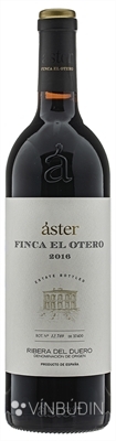 Áster Finca El Otero 