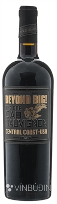 Beyond Big The One Cab Sauvignon Vat.08