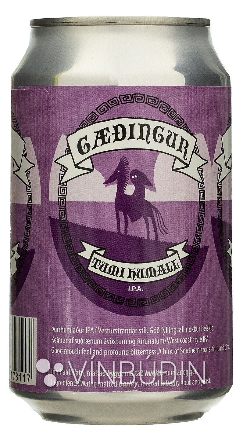 Gæðingur Tumi Humall