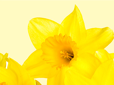 Easter opening hours 2018