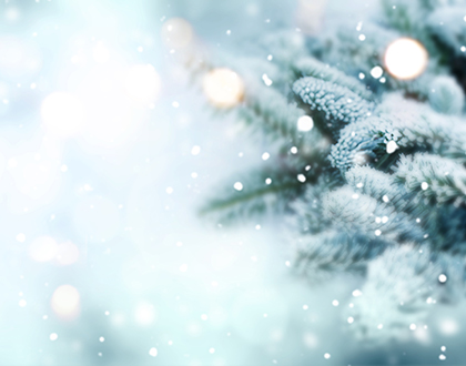 Opening hours for the holidays 2019