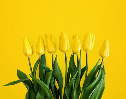Easter 2019