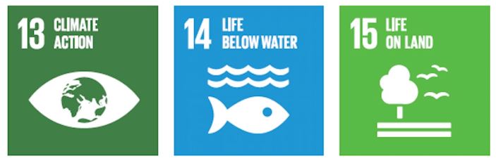 13 – Climate action, number 14 – Life below water and number 15 – Life on land